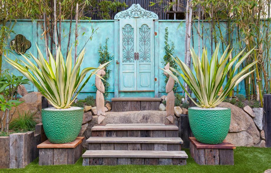 Create a feature wall in your garden with a splash of colour