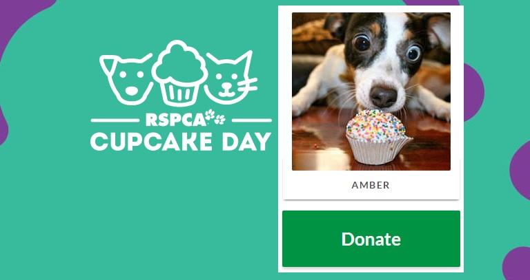 Donate to Amber above