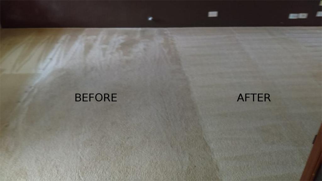 Clean and Protect Services Yanchep to Mandurah and into the Hills