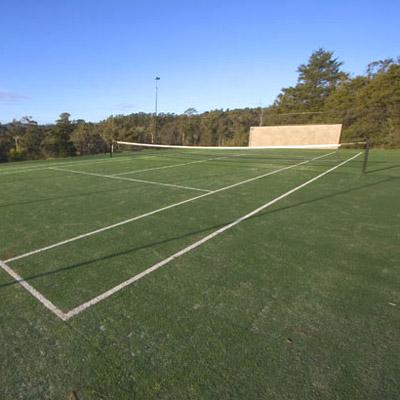 Tennis Court Design Ideas - Get Inspired by photos of Tennis Courts ...