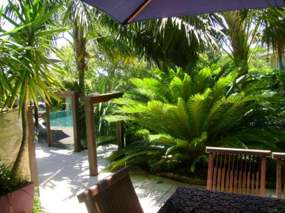 Garden Design Brisbane garden design ideas - get inspiredphotos of gardens from Garden Design Brisbane garden design ideas - get inspiredphotos of gardens from