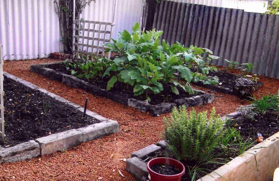 Vegetable Garden Design Ideas Get Inspired By Photos Of