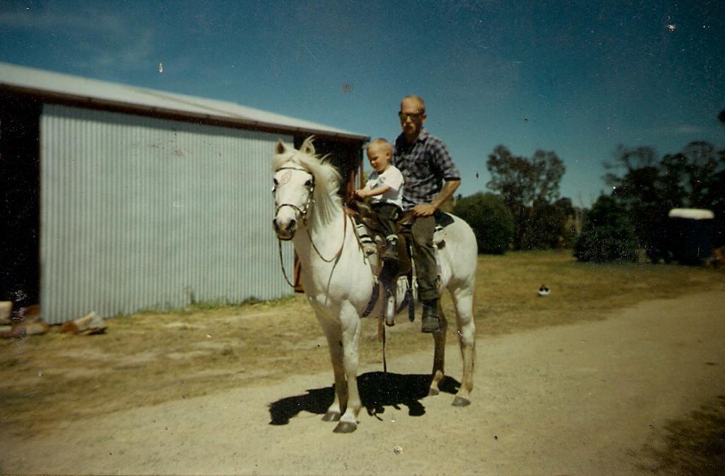 Steve Field