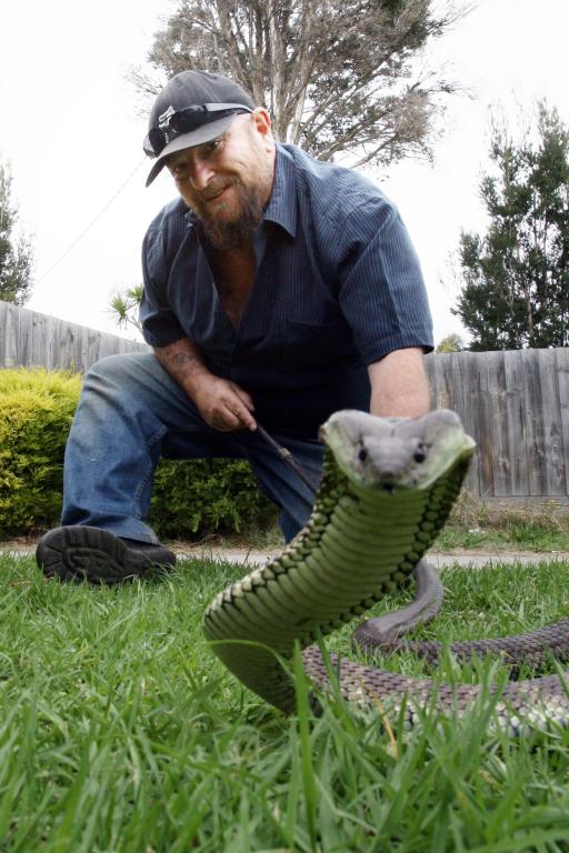 Snake Catcher Mornington Area, Portsea, Frankston, Mt Martha