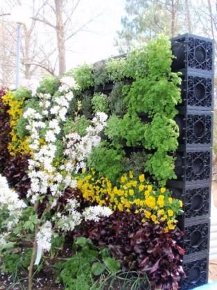 Vertical Garden Ideas Australia vertical garden design ideas - get inspiredphotos of vertical Vertical Garden Ideas Australia vertical garden design ideas - get inspiredphotos of vertical