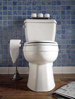 Toilet Design Ideas - Get Inspired by photos of Toilets from Australian