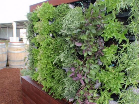 Vertical Garden Design Ideas - Get Inspired by photos of Vertical