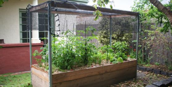  Vegetable Garden  Design  Ideas  Get Inspired by photos of 