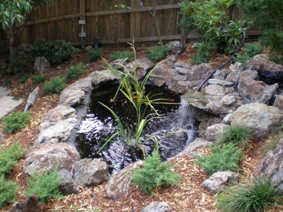 Water Feature Design Ideas - Get Inspired by photos of Water Features ...