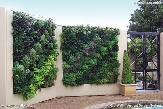 Vertical Garden Design Ideas - Get Inspired by photos of Vertical Gardens from Australian ... on Vertical Landscape Design
 id=81633