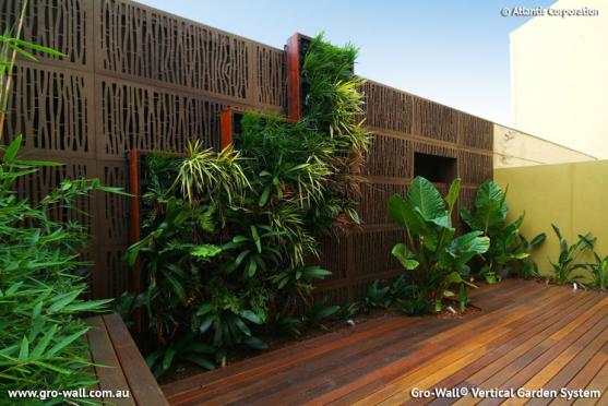 Vertical Garden Design Ideas  Get Inspired by photos of Vertical Gardens from Australian 