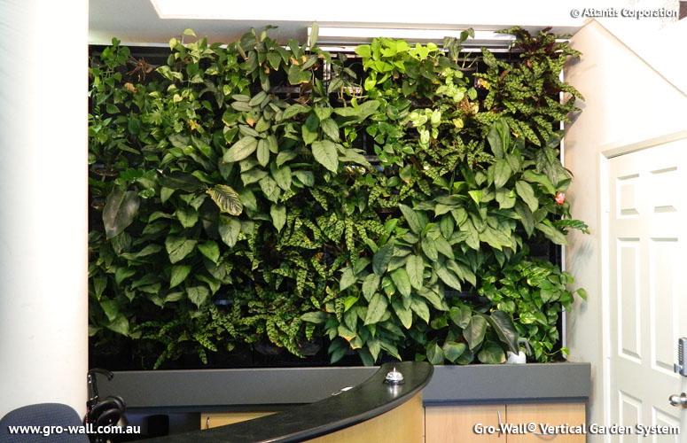 Vertical Garden Ideas Australia vertical garden - vegetable gardens - vertical gardens - atlantis Vertical Garden Ideas Australia vertical garden - vegetable gardens - vertical gardens - atlantis