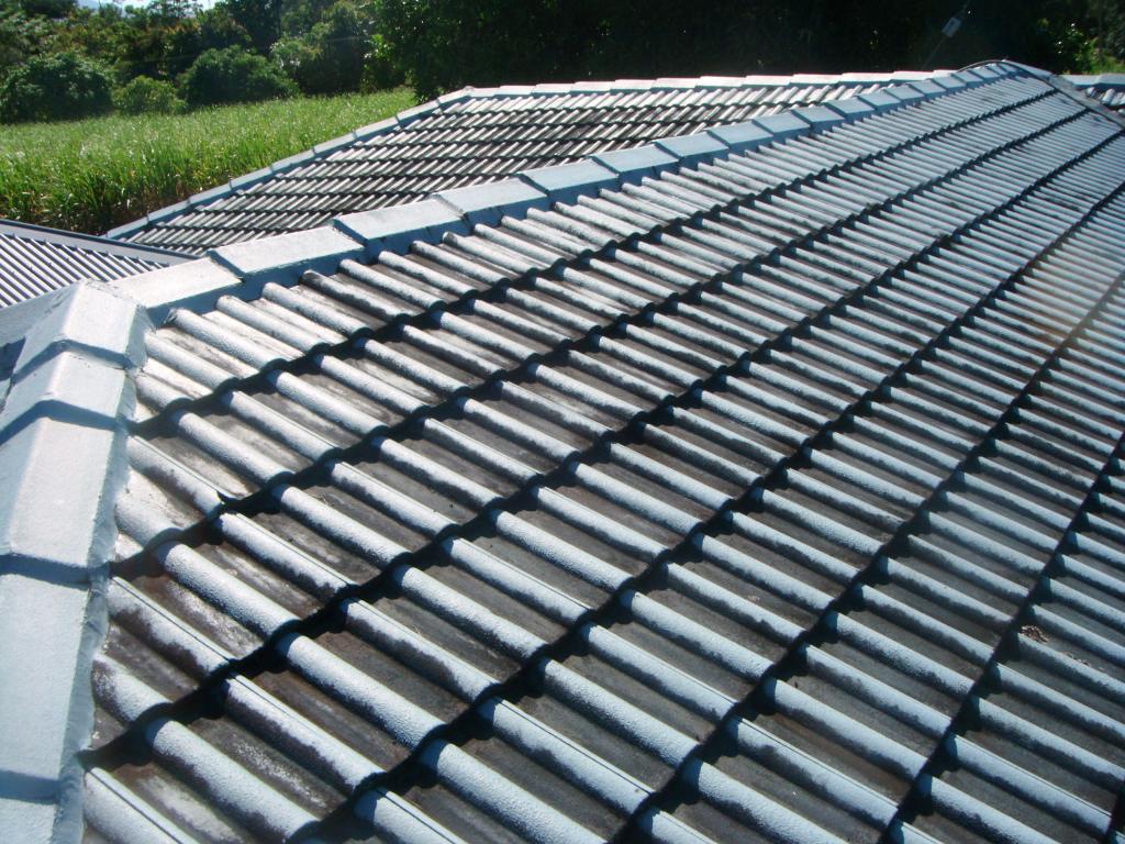 Roof Painting Specialists in Springfield and Brisbane - Queensland