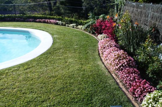 Garden Edging Design Ideas - Get Inspired by photos of Garden Edging