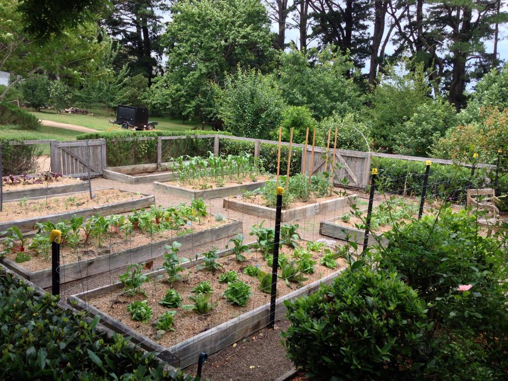 vegetable garden planner south australia