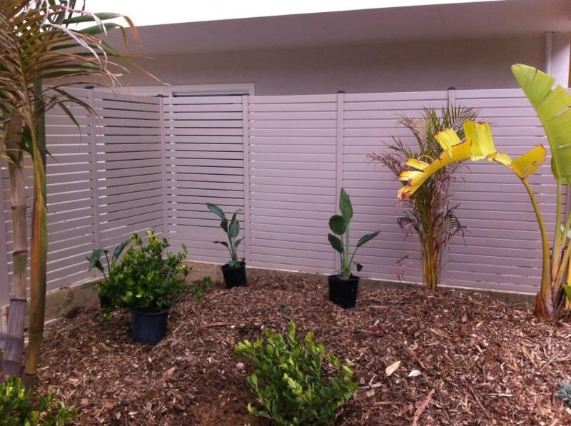 5 garden fencing ideas for Australian homes
