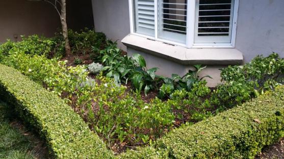 Vegetable Garden Design Ideas - Get Inspired by photos of Vegetable