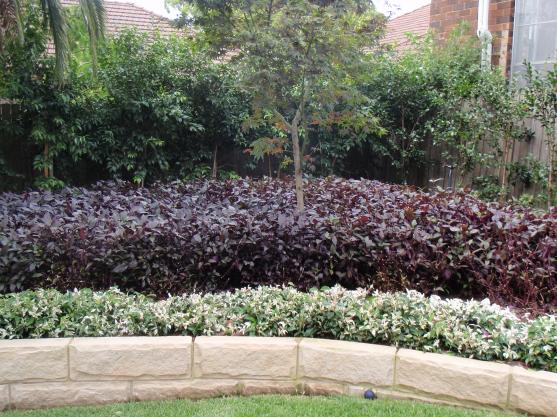 garden edging design ideas - get inspired by photos of