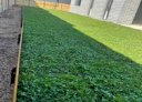 PW Landscaping — NSW