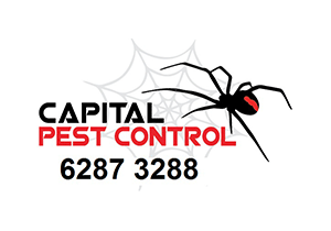 Capital Pest Control - Canberra ACT 2611 - hipages.com.au