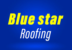 blue star roof ac price