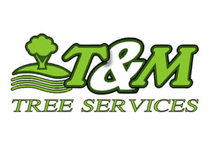 T & M Tree Services Pty Ltd - Buccan QLD 4207 - hipages.com.au