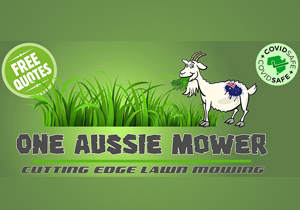 Aussie mowers discount