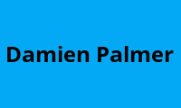 Damien Palmer — QLD
